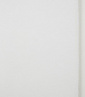 Дверное полотно Verda белое глухое ламинированная финишпленка 720x2036 мм
