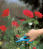 Ножницы для роз Gardena 00359-20