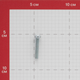 Винт оцинкованный M5x30 мм DIN 7985 полукруглая головка (10 шт.)